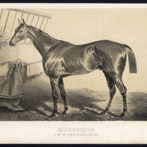Antieke prent-volbloed renpaard-MOUSTIQUE-Journal des Haras-1854