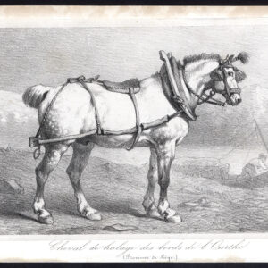 Antieke prent-TOWPATH-PAARD-OURTHE RIVIER-BELGIË-Journal des Haras-1855
