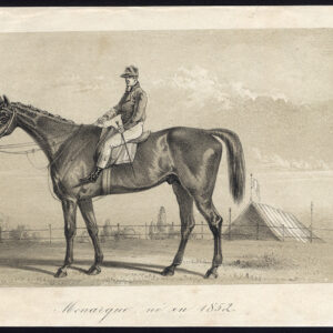 Antieke prent-volbloed renpaard-MONARQUE-JOCKEY-Journal des Haras-1857