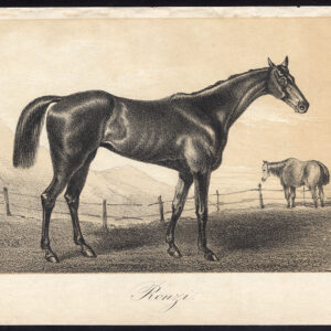 Antieke prent-volbloed renpaard-RONZI-Journal des Haras-1857
