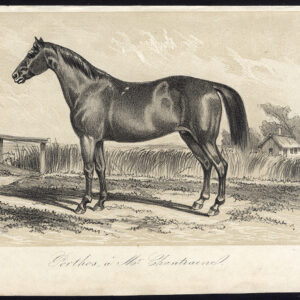 Antieke prent-volbloed renpaard-PORTHOS-CHANTRAINE-Journal des Haras-1857