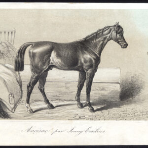 Antieke prent-volbloed renpaard-ARCIZAC-EMILIUS-Journal des Haras-1857