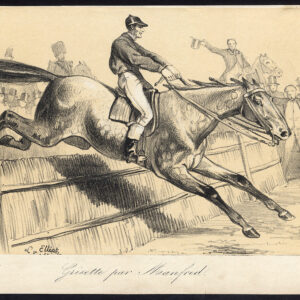 Antieke prent-volbloed renpaard-GRISETTE-MANFRED-Journal des Haras-1857