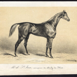 Antieke prent-volbloed renpaard-MR. DE ST. JEAN-MIDI-Journal des Haras-1858