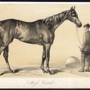 Antieke prent-volbloed renpaard-MISS CATH-JOCKEY-Journal des Haras-1858