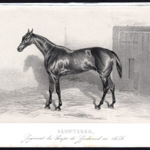 Antieke prent-volbloed renpaard-SAUNTERER-GOODWOOD-Journal des Haras-1858