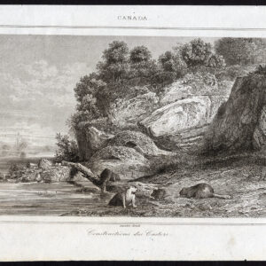 Antieke prent-BEAVER-CASTOR-CANADA-Lemaitre-1849