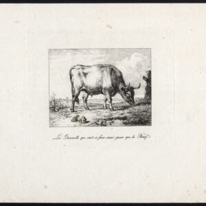 Antieke prent-BULL-OX-Frog-FABLE-GRENOUILLE-BOEUF-LA FONTAINE-1800