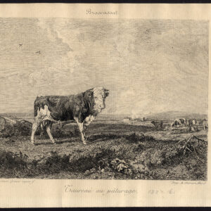 Antieke prent-STIEREN-WEILAND-KOEIEN-LANDSCHAP-Greux-Brascassat-1875