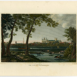 Antieke prent-PETERBOROUGH-ENGLAND-KATHEDRAAL-KOE-SCHAPEN-Varrall-Robson-1840