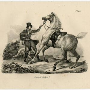 Antieke prent-ENGELSE HUNTER-PAARD-PLAAT 128-Schinz-De Visser-1845