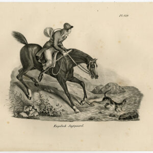 Antieke prent-ENGELSE HUNTER-PAARD-PLAAT 129-Schinz-De Visser-1845