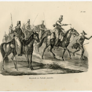 Antieke Prent-RUSSISCHE PAARD-POLISH-PLAAT 132-Schinz-De Visser-1845