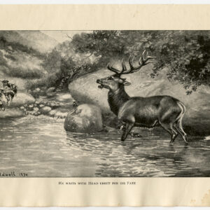 Antieke prent-JACHT-HONDEN-PAARD-DEER-Caldwell-Swantype-1896