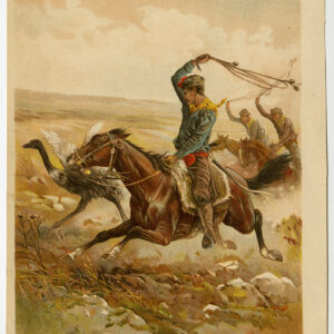 Antieke prent-STRUISVOGEL JACHT-PAARD-1870