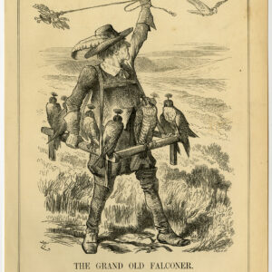 Falconry Falconer Punch Swain 1886