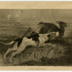 Antieke prent-JACHTSCÈNE-PAARD-DEER-DOG-Duncan-Spalding-1840