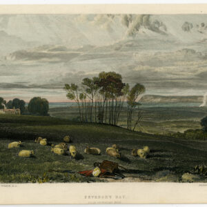 Antieke prent-LANDSCHAP-SCHAPEN-Cooke-Turner-1850