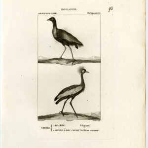 Trumpeter Vogel Crested Crane Plate 93 Pretre Coutant 1816