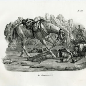 Antieke prent-FRANS PAARD-PL. 136-Schinz-Brodtmann-1845