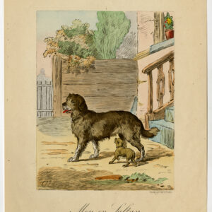 Antieke Prent-HONDEN-MOP EN SULTAN-KINDERBOEKEN-Eerelman-c. 1890