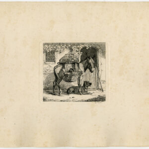 Antieke prent-EZEL-MULE-FOWL-HOND-KIP-Zillen-1858
