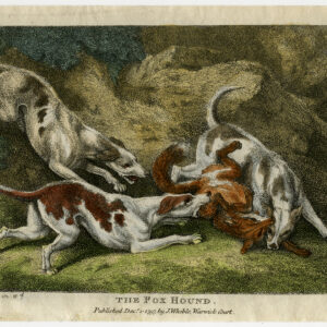 Antieke prent-JACHT SCENE-DOGS KILLING A FOX-COLOURED-Howitt-1797