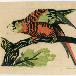 Originele print-PARROT-MACAW-Karwath-c.1950
