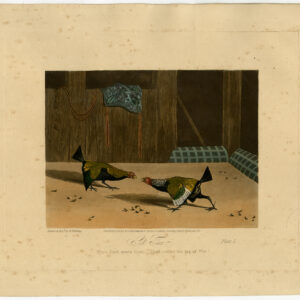 Cock Fighting Set Too Fielding 1853