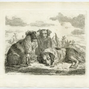 Antieke prent-HOND-HERDER-LANDSCHAP-Quadal-c. 1800