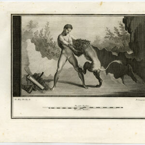 Antieke prent-ARCHEOLOGIE-ITALIË-HERCULANEUM-FRESCO-LION-P27-Morghen-Campana-1757