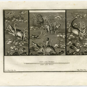 Antieke prent-ARCHEOLOGIE-ITALIË-HERCULANEUM-FRESCO-KROKODIL-Morghen-1757
