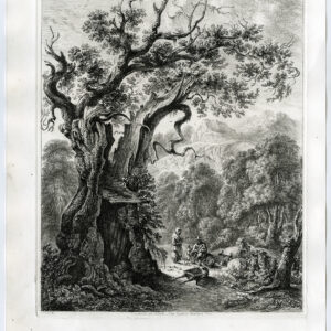 Antieke prent-DE GEEST'S GEBLASTE BOOM-HAUNTED EIK-Cuitt-c. 1817