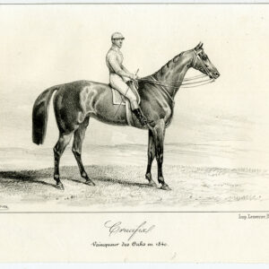 Antieke prent-volbloed renpaard-KRUISBEELD-EIKEN-Adam-Journal des Haras-1841