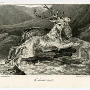 Antieke prent-JACHTSCÈNE-DOG-DEER-Bonnemaison-Journal des Haras-1841