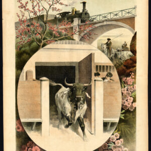 Antieke prent-STIERVECHTEN-TAUROMACHIA-TREIN-PAARD-TORERO-Pl. 2-La Lidia-1893