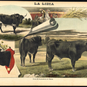 Antieke prent-STIERVECHTEN-TAUROMACHIA-UDAETA-SPANJE-TORERO-Pl. 13-La Lidia-1893