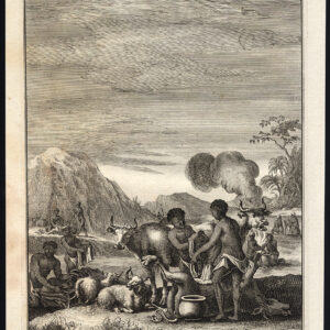 Antieke prent-HOTTENTOTS-KHOIKHOI-SLACHT-DIEREN-ZUID-AFRIKA-Kolbe-1727