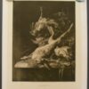 Foto gravure 1930 Jacht tafereel R. Paulussen naar Jan Weenix 1640-1719 Haas Duif