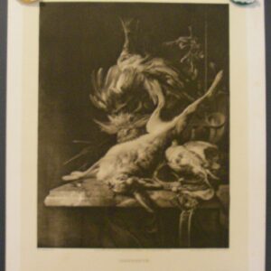 Foto gravure 1930 Jacht tafereel  R. Paulussen  naar  Jan Weenix 1640-1719 Haas Duif